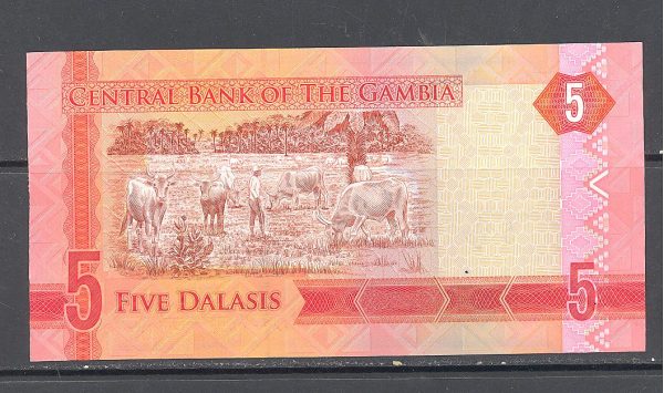 Gambija 5 dalasiai 2015 m. 2